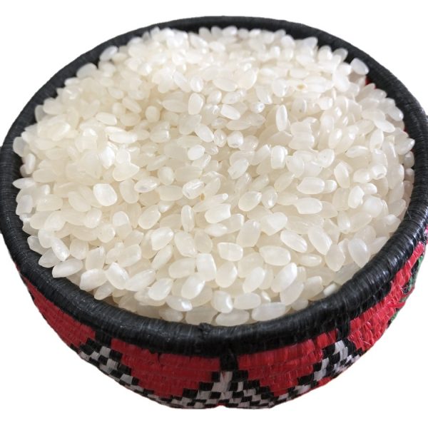 Round Rice – Trade B2B International