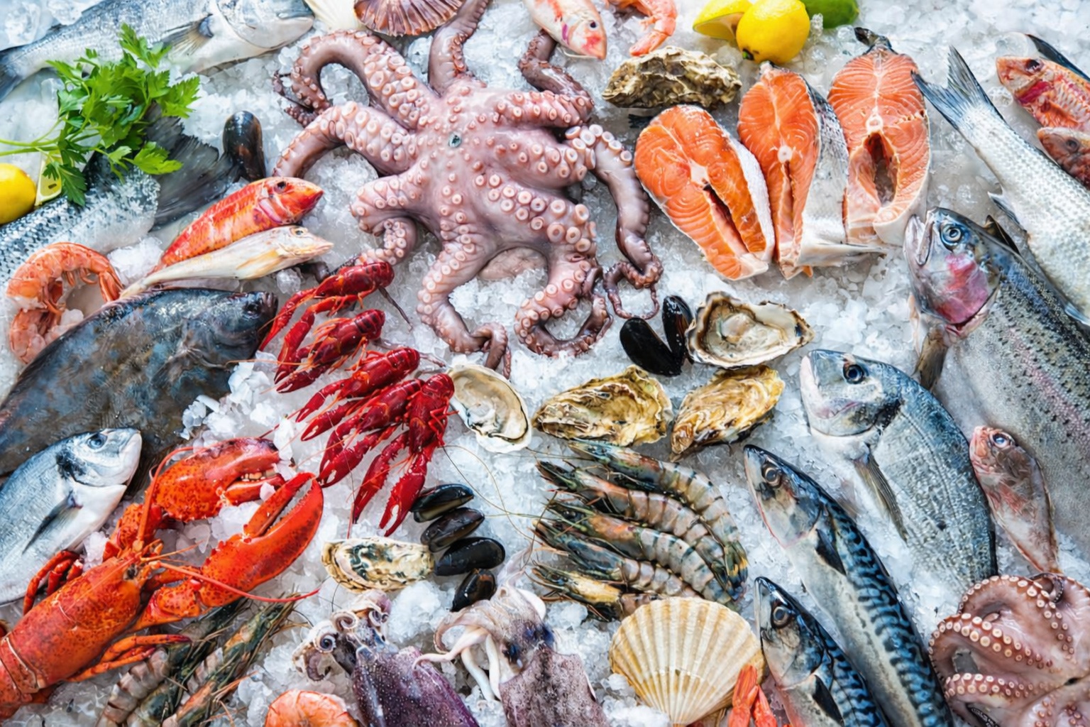 Fresh & Frozen Fish and Seafood – Trade B2B International